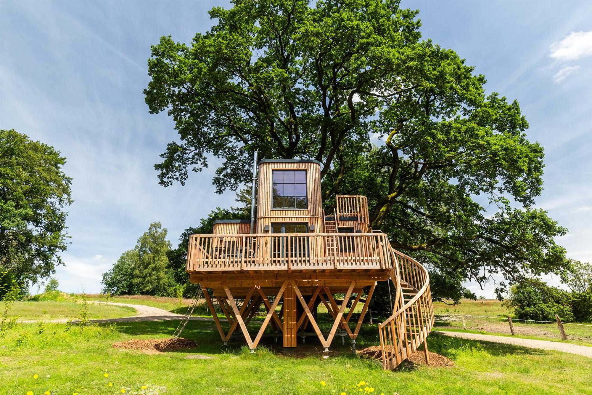 Апартаменты Heide Ferien - Hof Bockelmann Биспинген Номер фото